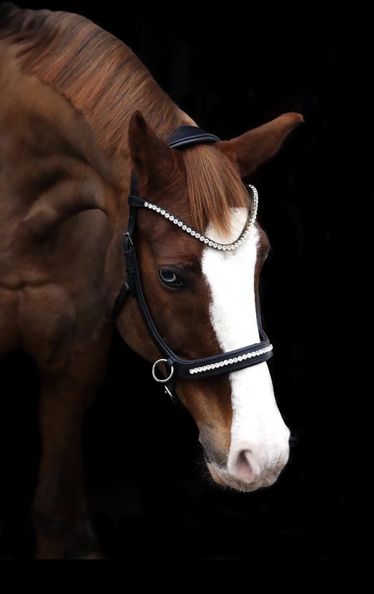 Träns Sidepull | Full | Crystal Crown - Equi ReUse Sweden AB