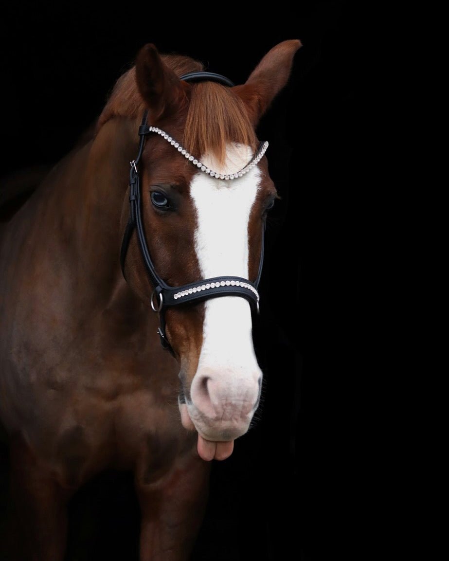 Träns Sidepull | Full | Crystal Crown - Equi ReUse Sweden AB