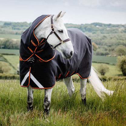 Utetäcke 200 g | 145 | Horseware Rambo Supreme Turnout Plus 200g - Equi ReUse Sweden AB