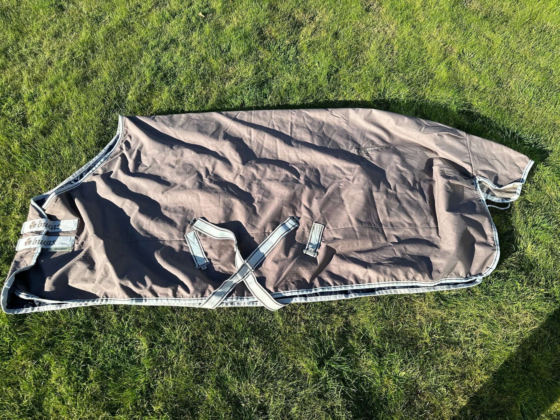 Utetäcke 200g | 165 | BUCAS Freedom Turnout 200 - Equi ReUse Sweden AB