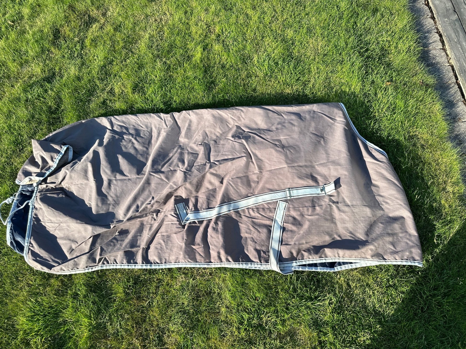 Utetäcke 200g | 165 | BUCAS Freedom Turnout 200 - Equi ReUse Sweden AB