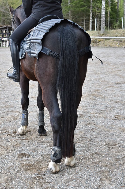 Vetevärmare ländrygg | Equie Eco - Equi ReUse Sweden AB