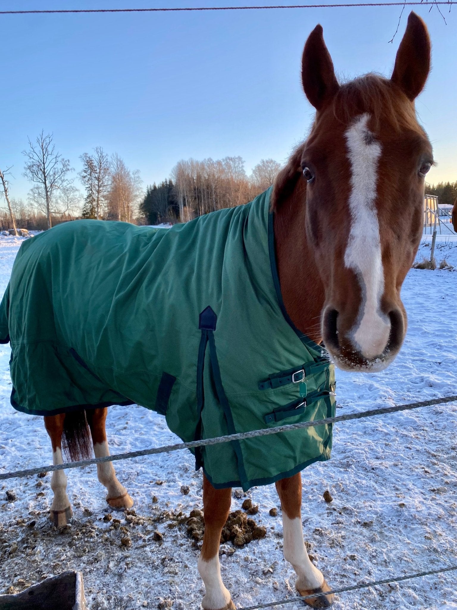 Vintertäcke 300g | 135 | Shires Three Crown Horseline - Equi ReUse Sweden AB