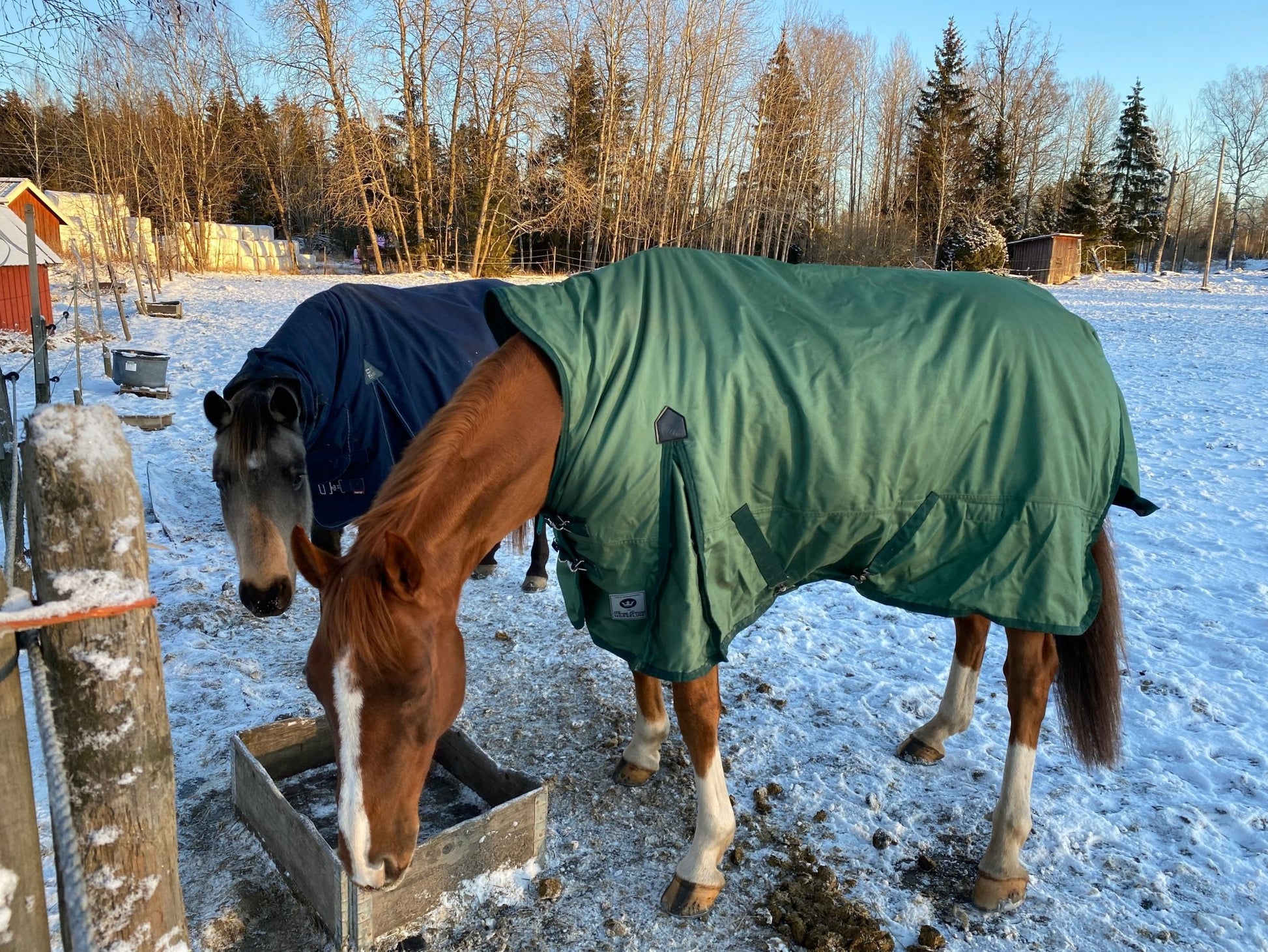 Vintertäcke 300g | 135 | Shires Three Crown Horseline - Equi ReUse Sweden AB