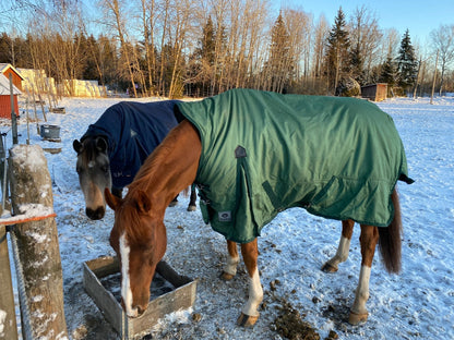 Vintertäcke 300g | 135 | Shires Three Crown Horseline - Equi ReUse Sweden AB