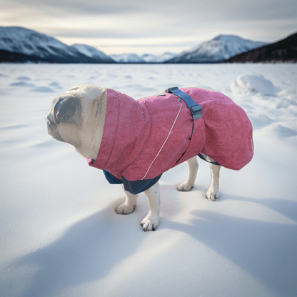 Vintertäcke hund | 35XL | Hurtta Expedition Parka - Hundtäcke - Equi ReUse Sweden AB