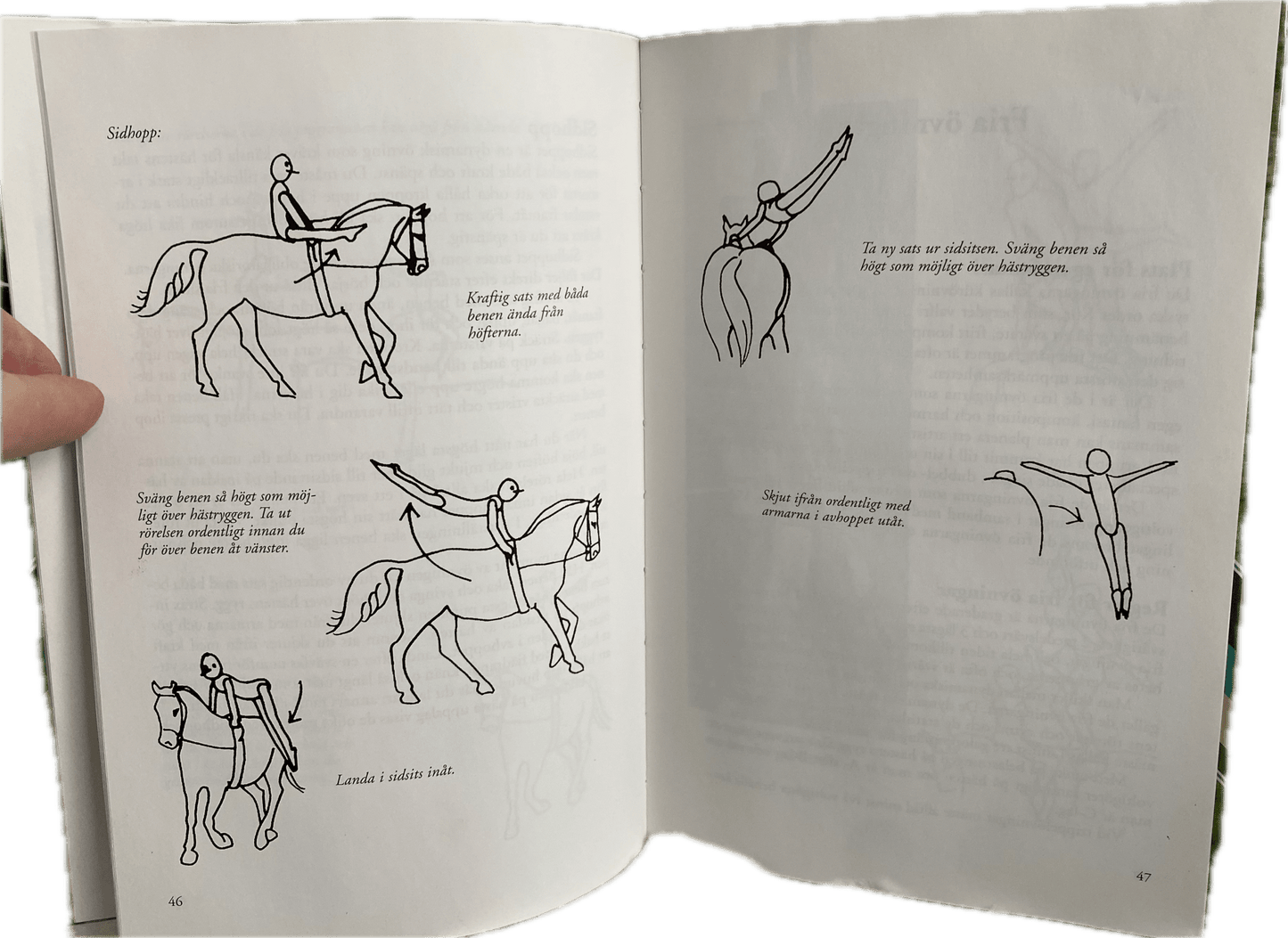 Voltige skor + bok | IWA - Equi ReUse Sweden AB
