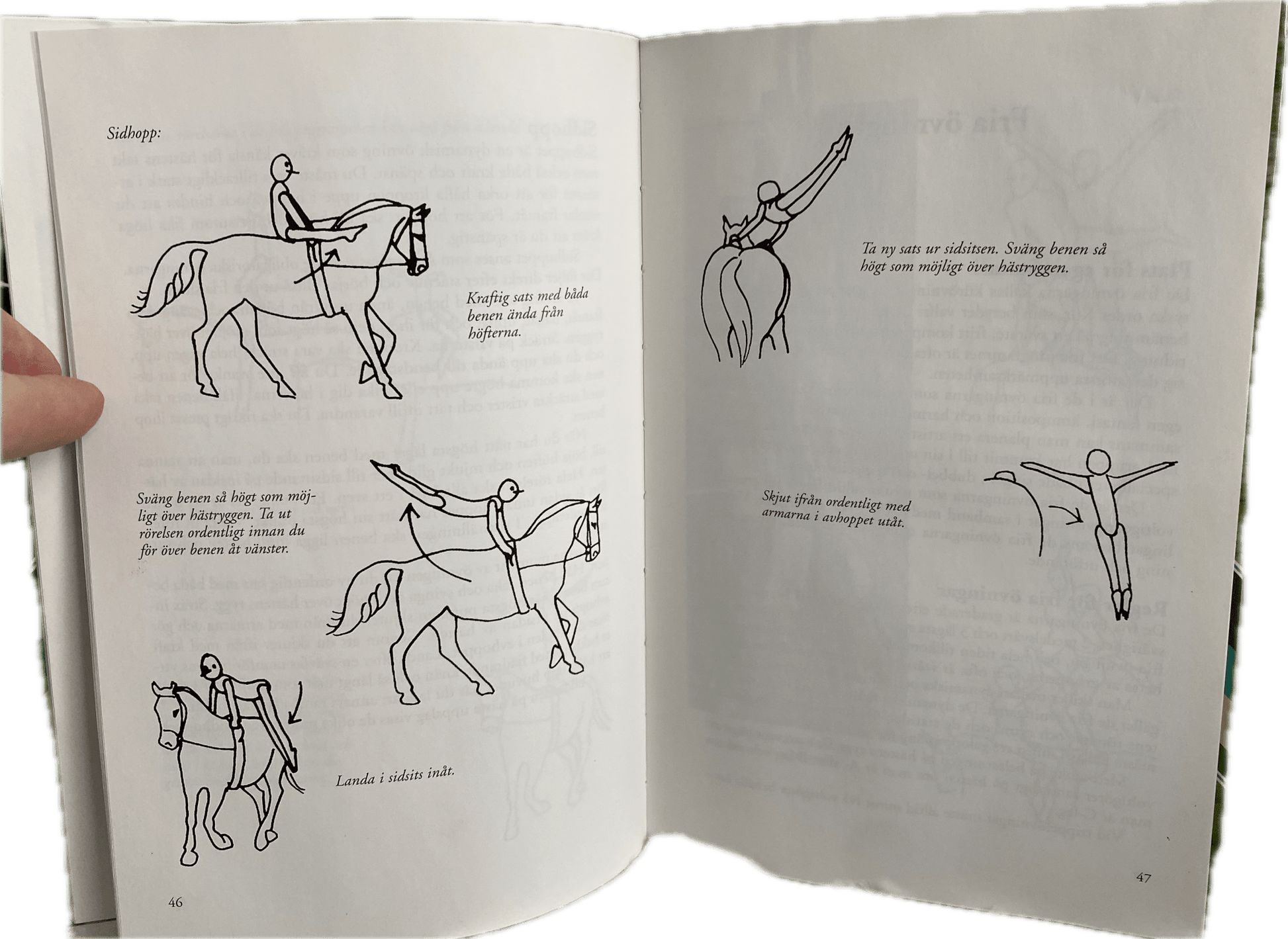 Voltige skor + bok | IWA - Equi ReUse Sweden AB