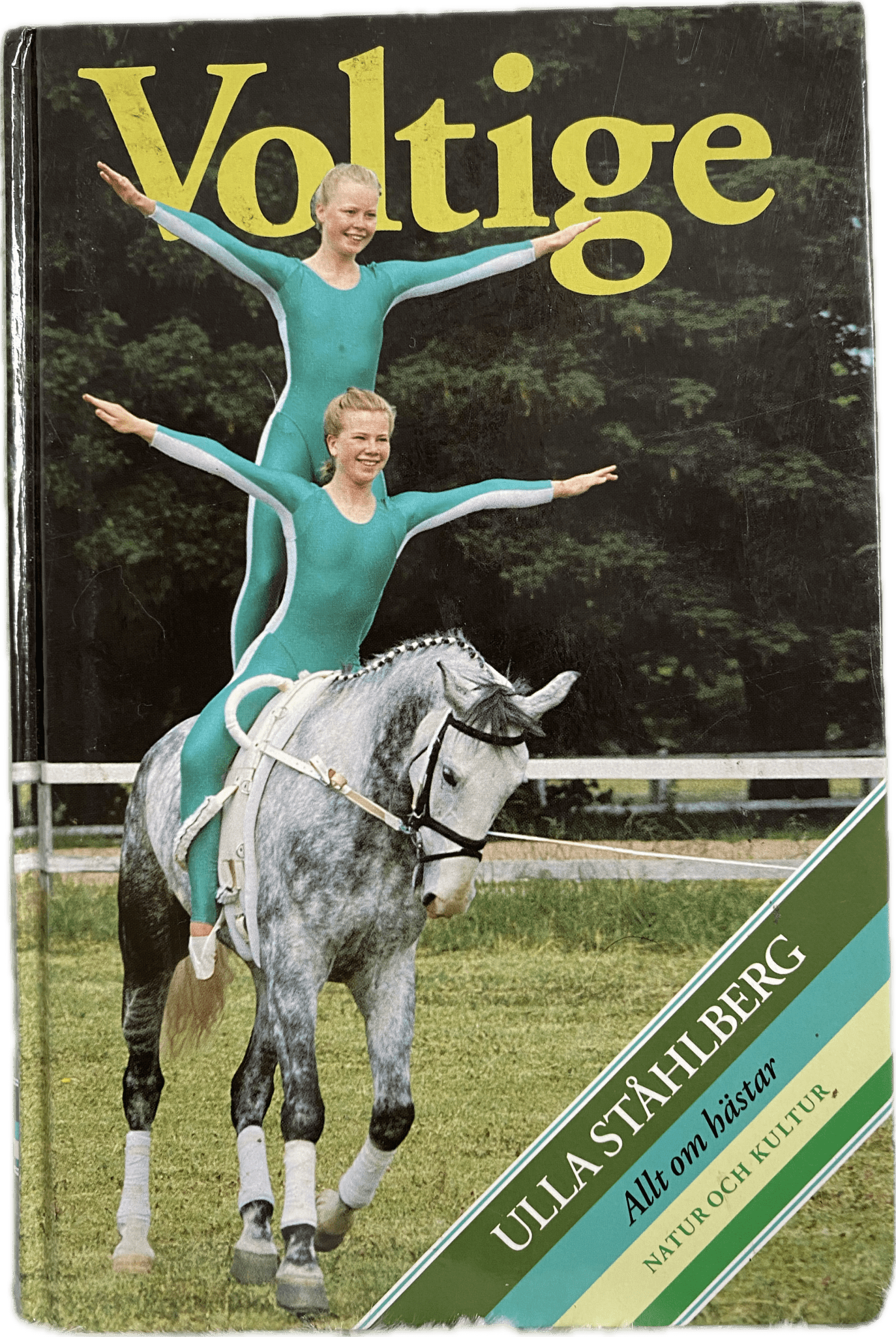 Voltige skor + bok | IWA - Equi ReUse Sweden AB